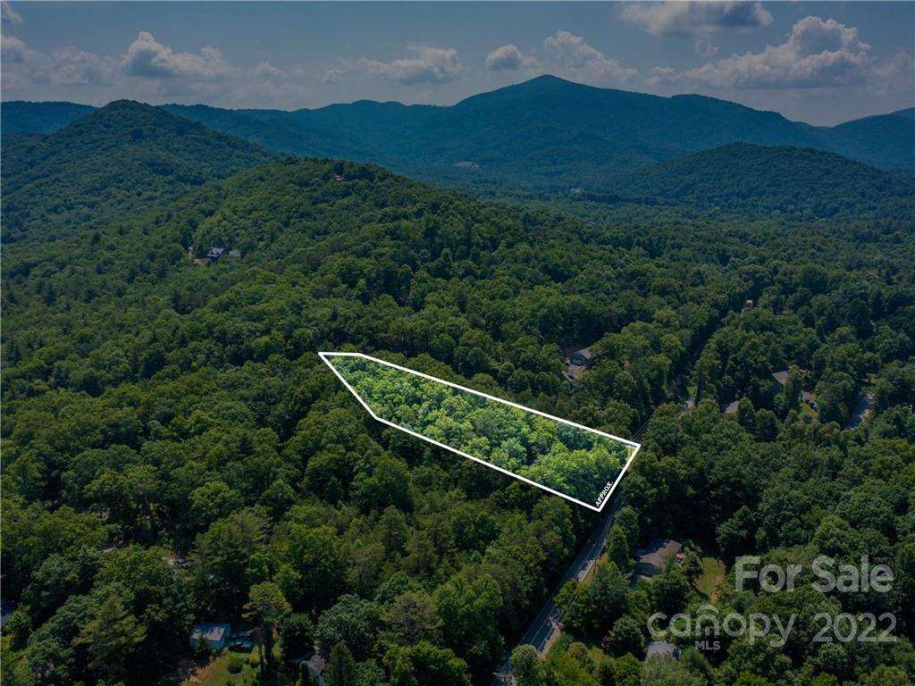 99999 Dode Whitaker Road Fairview, NC 28730 - Photo 20 of 28 Gallery Image 20