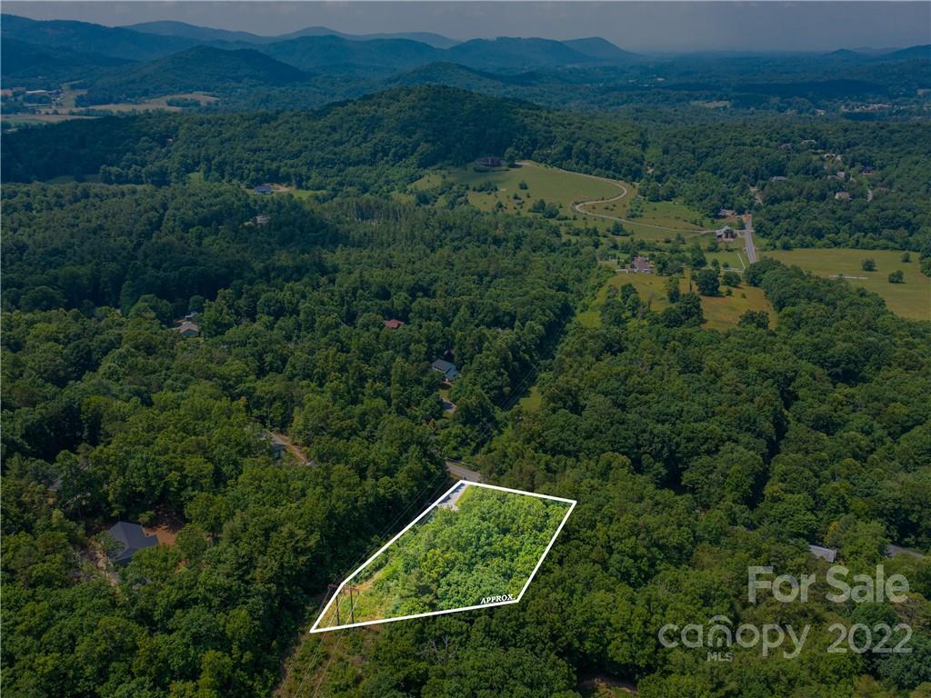 99999 Dode Whitaker Road Fairview, NC 28730 - Photo 21 of 28 Gallery Image 21