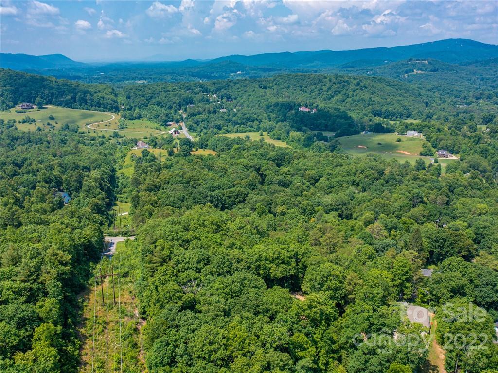 99999 Dode Whitaker Road Fairview, NC 28730 - Photo 23 of 28 Gallery Image 23