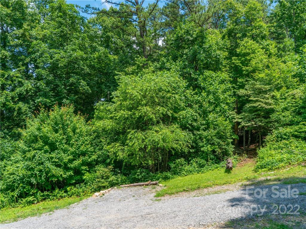 99999 Dode Whitaker Road Fairview, NC 28730 - Photo 7 of 28 Gallery Image 7