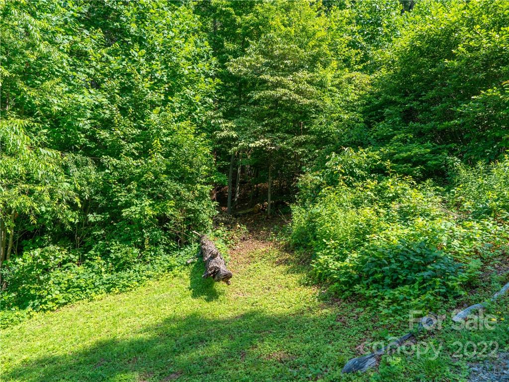 99999 Dode Whitaker Road Fairview, NC 28730 - Photo 8 of 28 Gallery Image 8