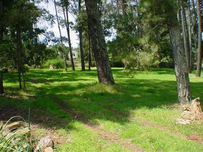 7259 Witter Road Sebastopol, CA 95472 - Photo 3 of 11 a big yard with lots of green space and trees