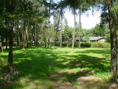7259 Witter Road Sebastopol, CA 95472 - Photo 8 of 11 a view of a park with a tree in the background