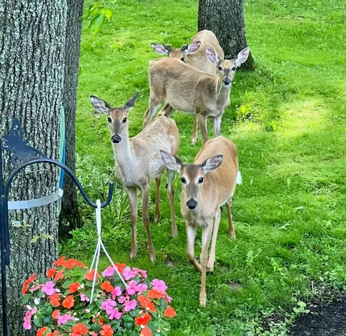 a view of water heater
