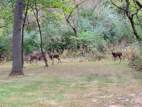 a view of a door of the house