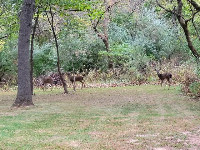 a view of a door of the house