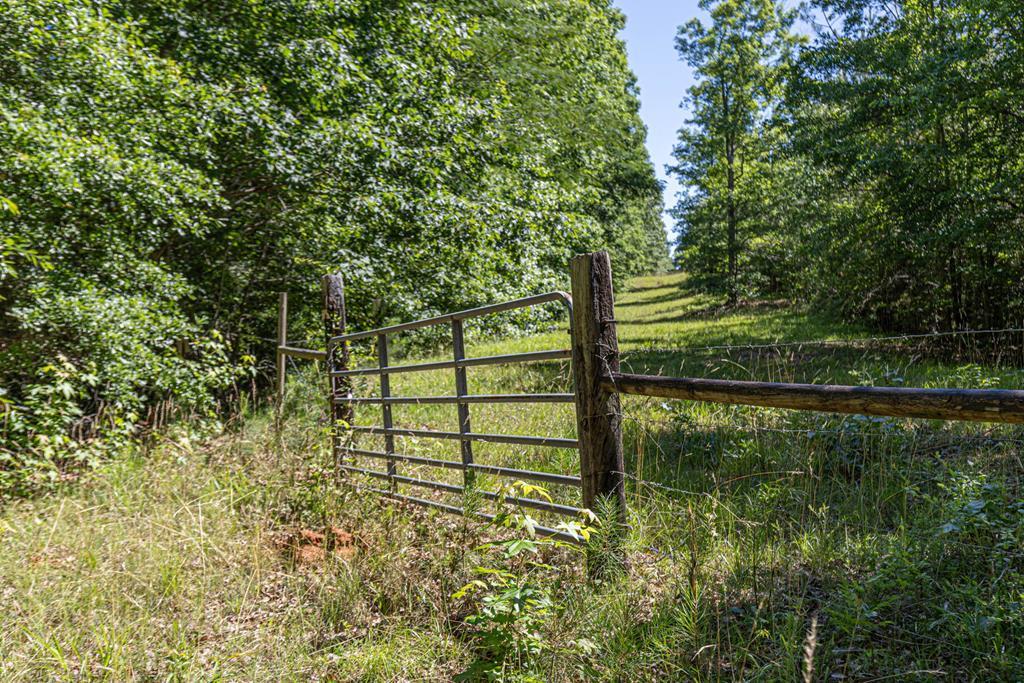 231 Lower Lovelace Road West Point, GA 31833 - Photo 2 of 49