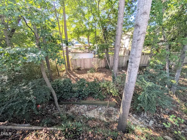 a view of a backyard with plants