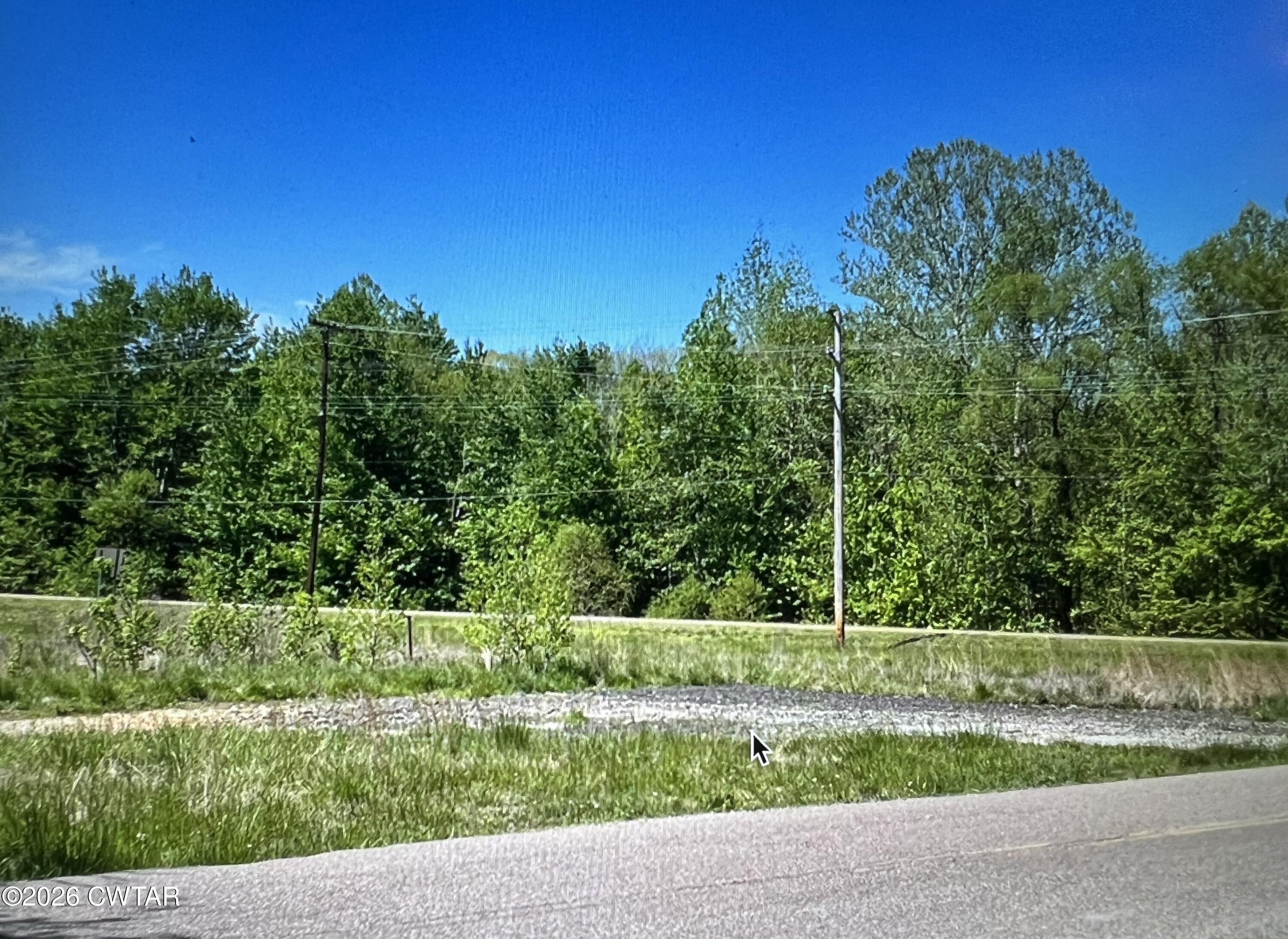 24 Jones Bend Road Paris, TN 38242 - Photo 3 of 8 a view of a yard