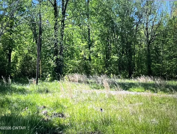 a view of a garden with a tree