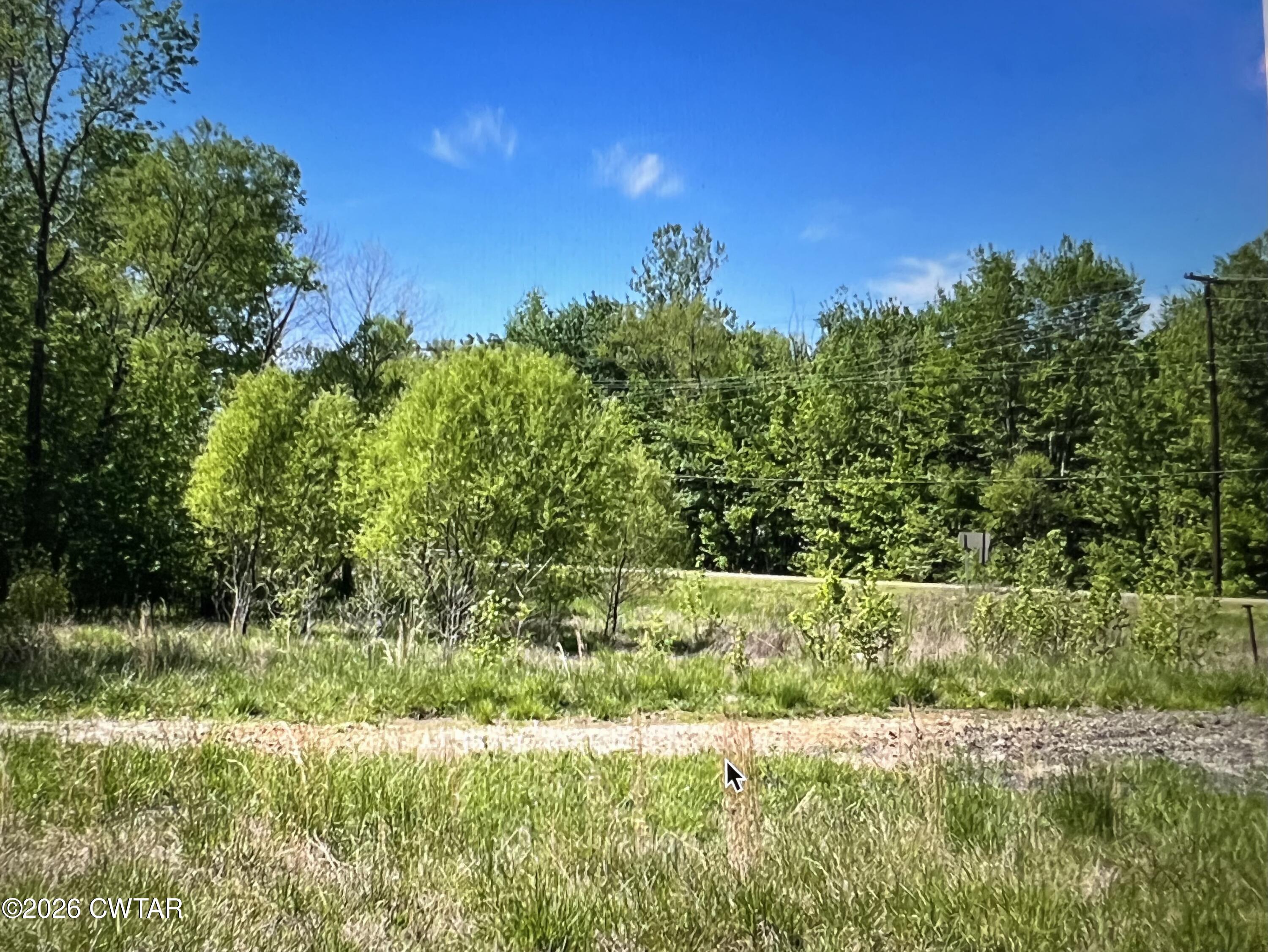 24 Jones Bend Road Paris, TN 38242 - Photo 5 of 8 a view of a garden with a tree