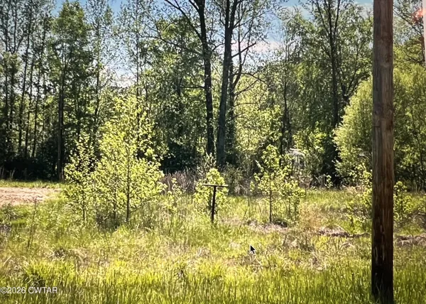 a view of yard with green space