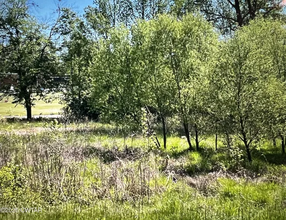 $39,900 | 24 Jones Bend Road, Paris, TN 38242