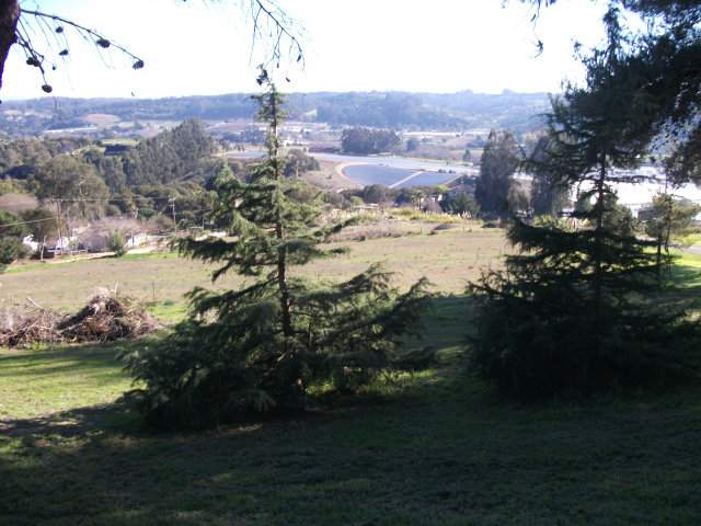 537 Pini Road Watsonville, CA 95076 - Photo 17 of 19 Gallery Image 17