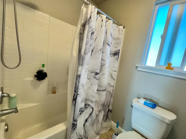 a bathroom with a shower and a toilet
