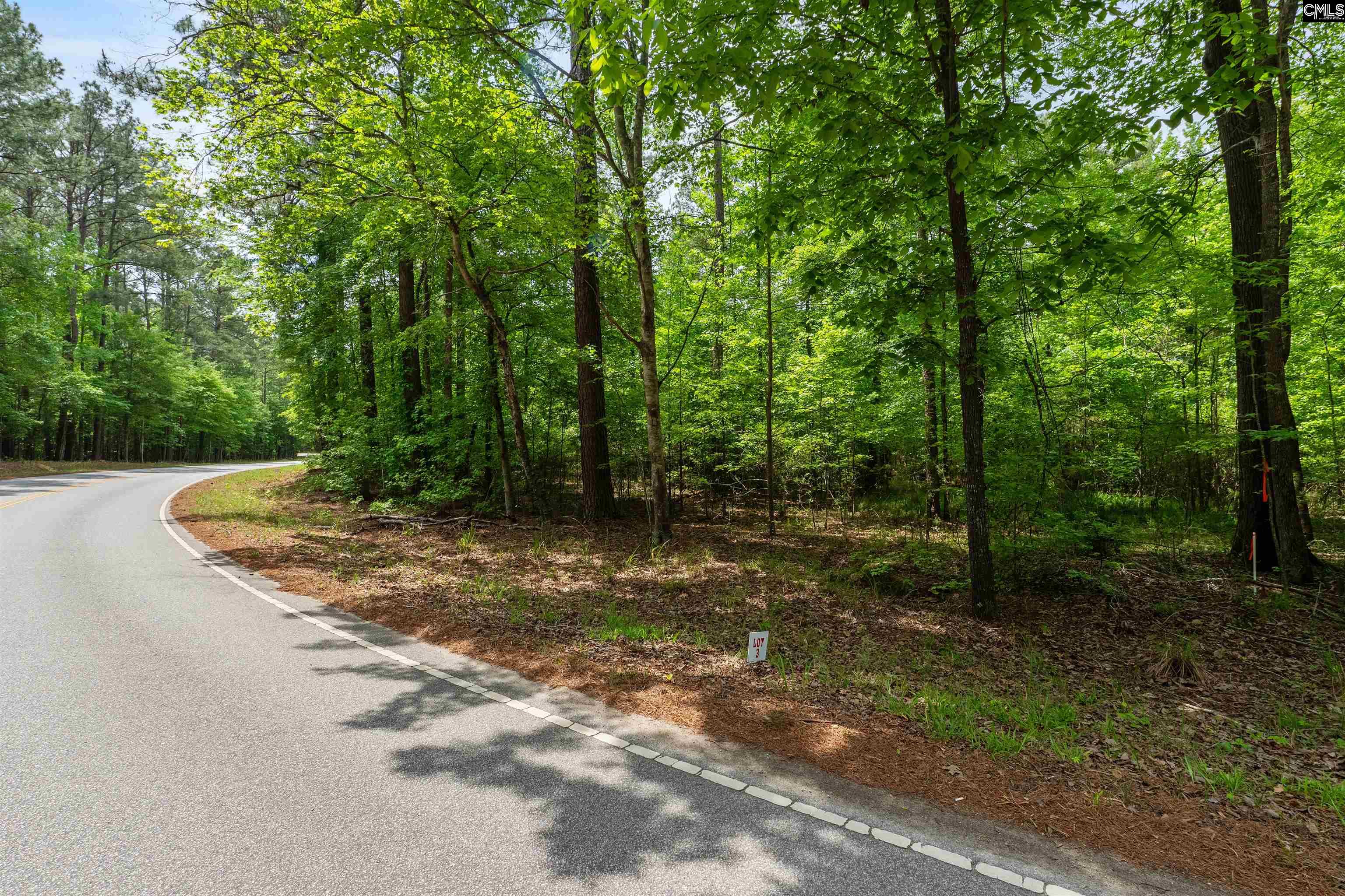 1427-3 Buck Hill Landing Road Ridgeway, SC 29130 - Photo 2 of 30