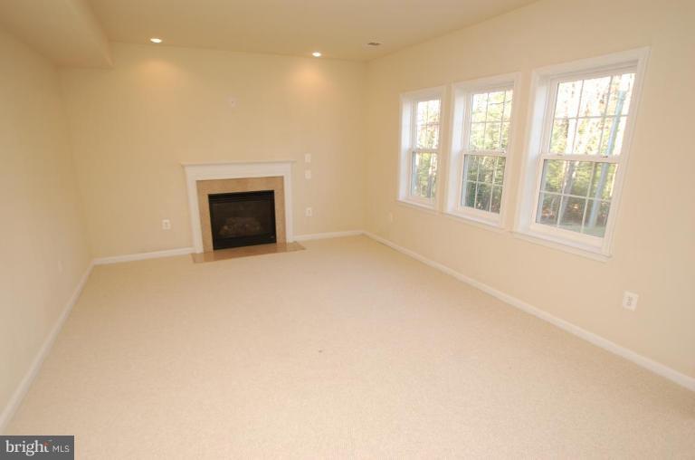 3517 West Ox Road Fairfax, VA 22033 - Photo 19 of 30 Recreation Room
