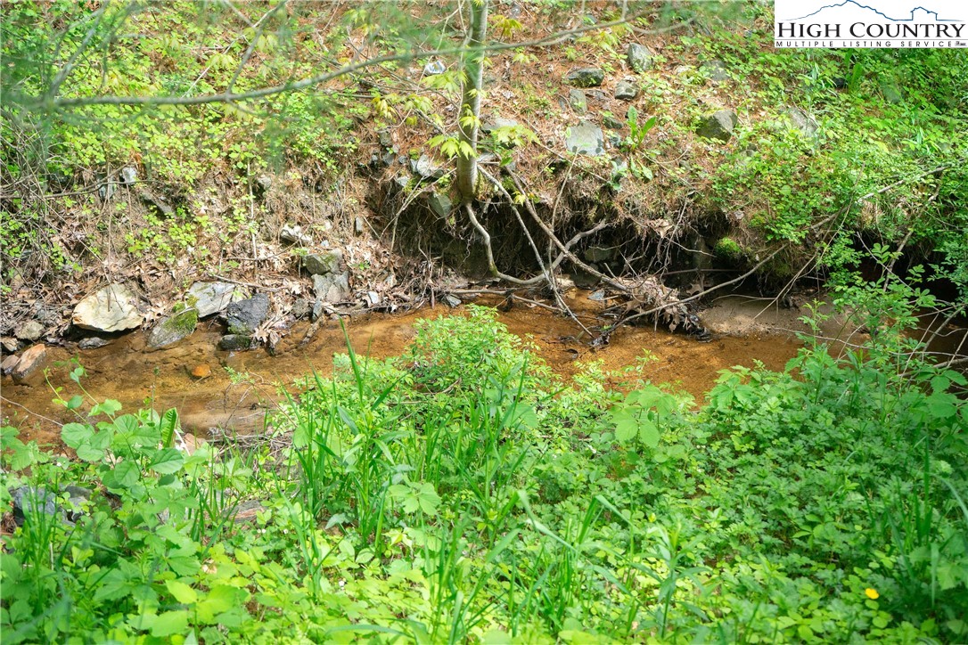 667 Ransom Street Blowing Rock, NC 28605 - Photo 31 of 35 Gallery Image 31