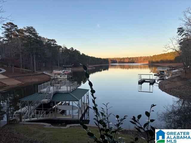 205 Dollys Manor Road Lineville, AL 36266 - Photo 25 of 27