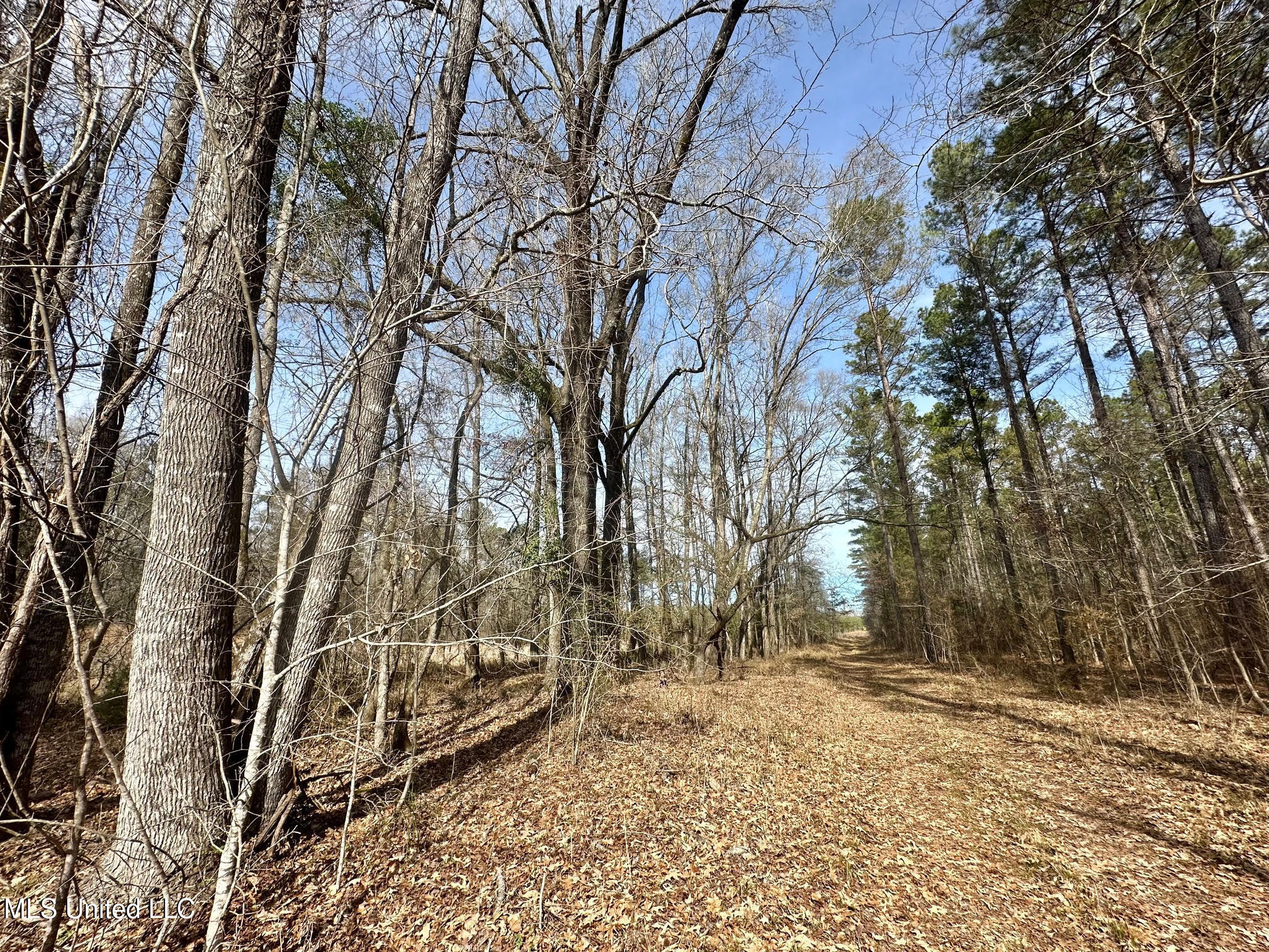 10 Dry Grove Road Terry, MS 39170 - Photo 8 of 46 509