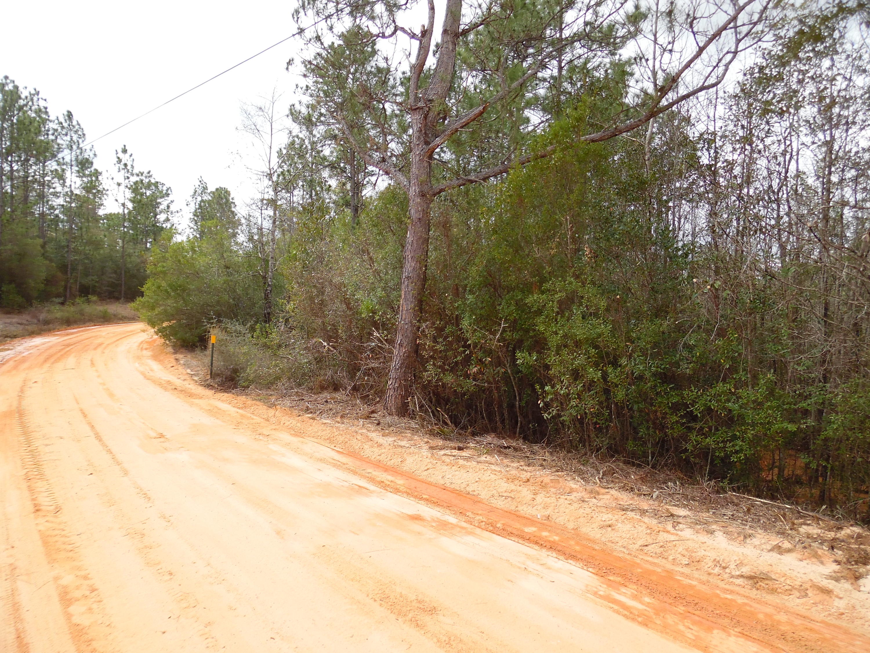 Lot68-blk68 Blue Ridge Boulevard DeFuniak Springs, FL 32433 - Photo 3 of 6 a view of a backyard of the house