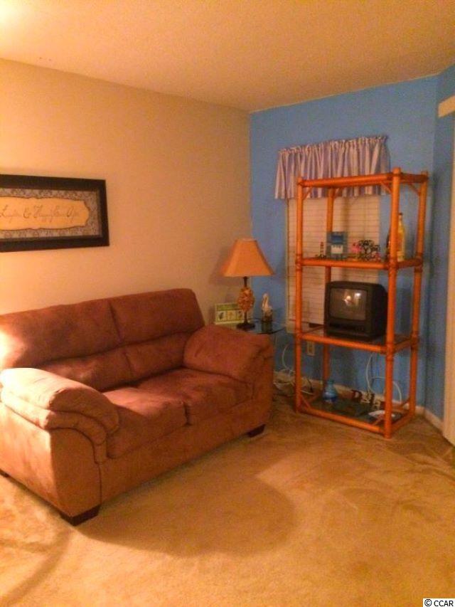1101 Possum Trot Road, Unit A103 North Myrtle Beach, SC 29582 - Photo 17 of 21