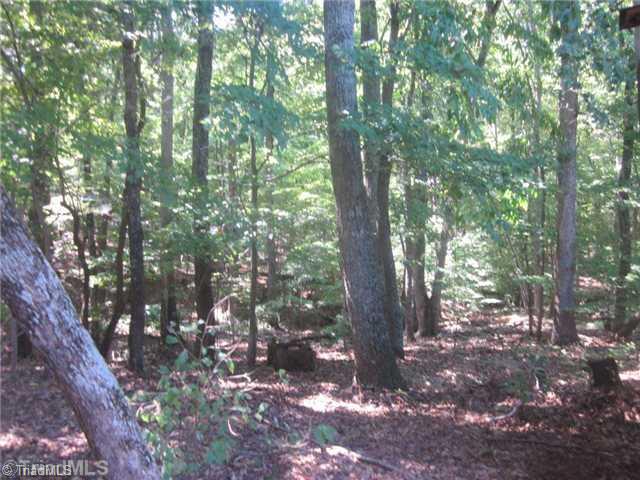 0 Bethany Road Reidsville, NC 27320 - Photo 2 of 8 Other. extensive hardwoods leading to flowing creek