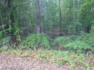 0 Bethany Road Reidsville, NC 27320 - Photo 5 of 8 Other.