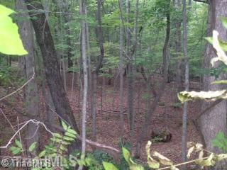 0 Bethany Road Reidsville, NC 27320 - Photo 6 of 8 Other.
