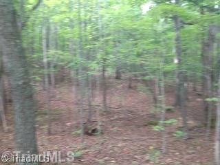0 Bethany Road Reidsville, NC 27320 - Photo 7 of 8 Other.