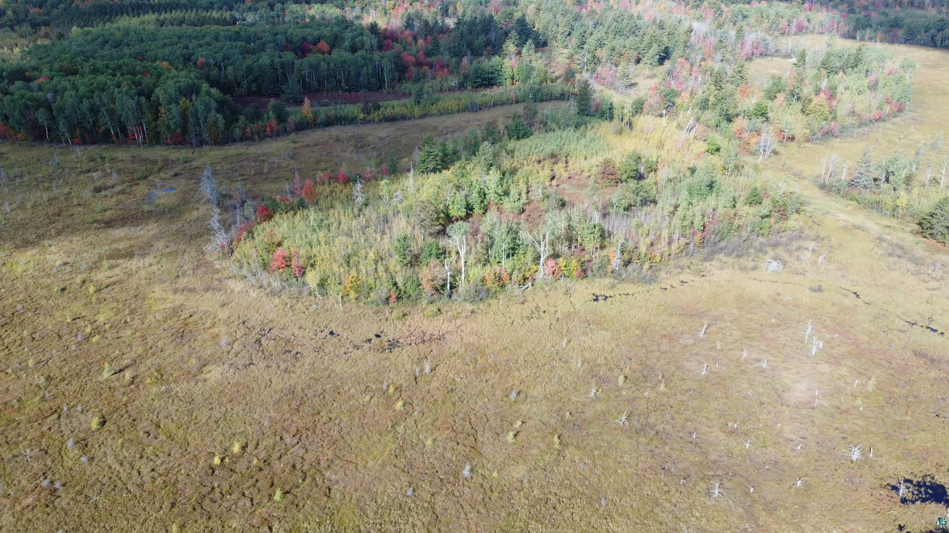Xxxxx Hollander Road Iron River, WI 54847 - Photo 5 of 11 Gallery Image 5