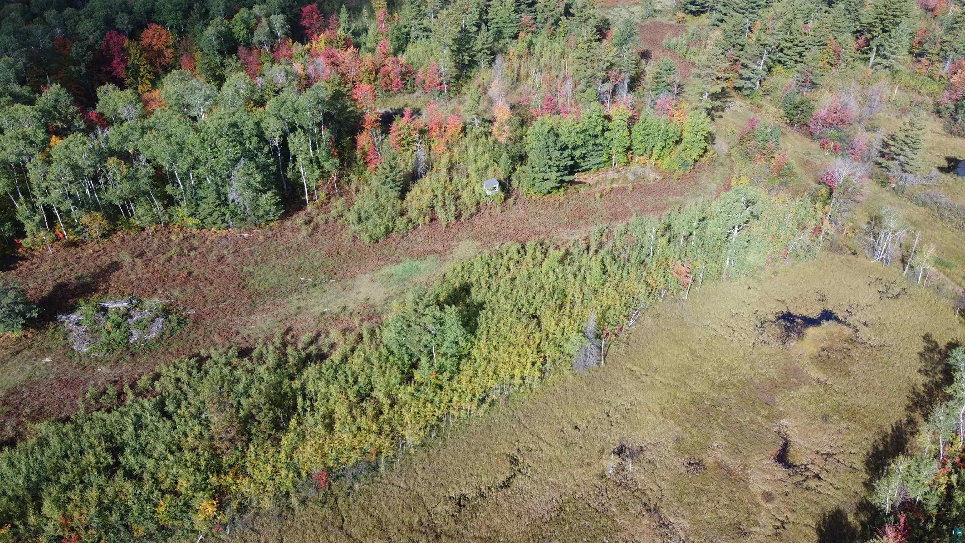 Xxxxx Hollander Road Iron River, WI 54847 - Photo 7 of 11 Gallery Image 7