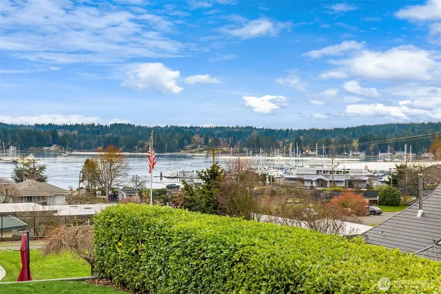 a view of a lake with houses in the back