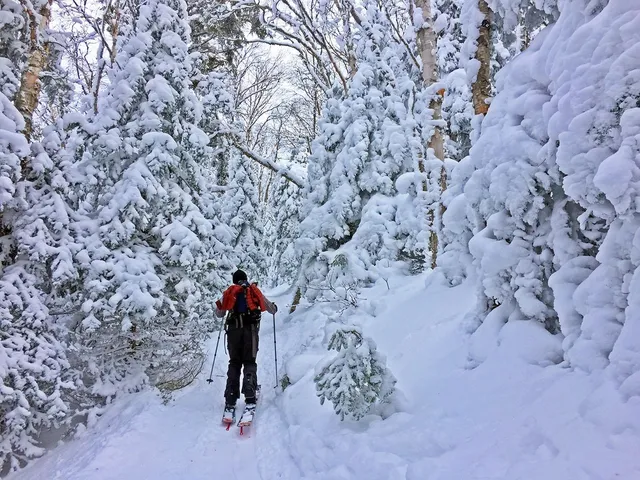 $320,000 | 34 Liberty Lane, Unit 2, Thornton, NH 03285