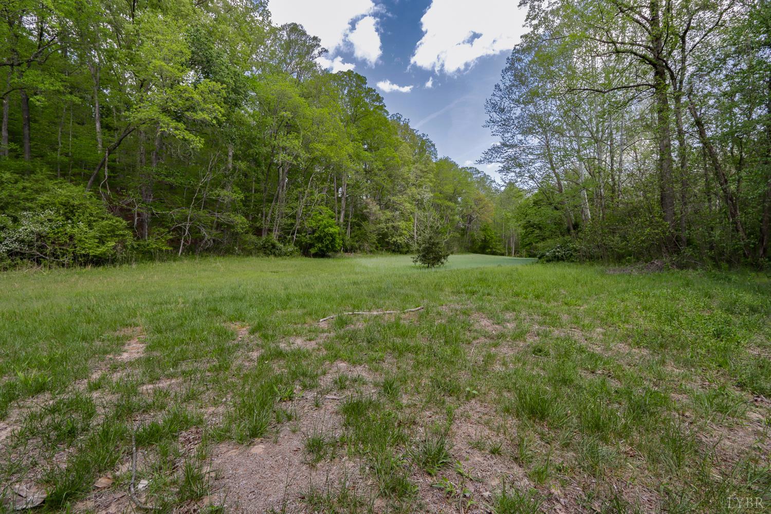 102 Slow Water Court Sandy Level, VA 24161 - Photo 45 of 66 a view of a grassy field with trees in the background