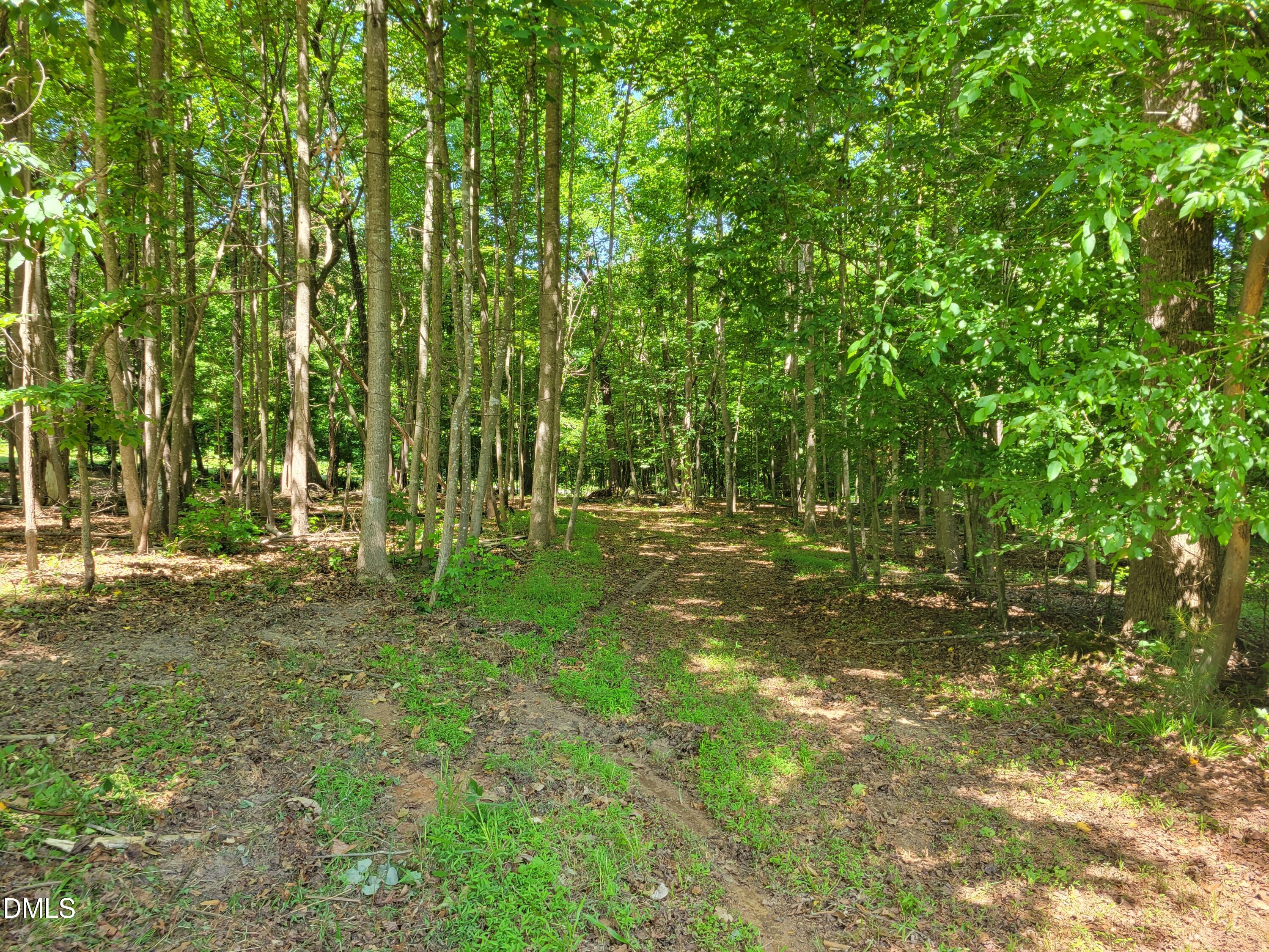 0 Hicks Farm Road Staley, NC 27355 - Photo 20 of 30 20260529_111744