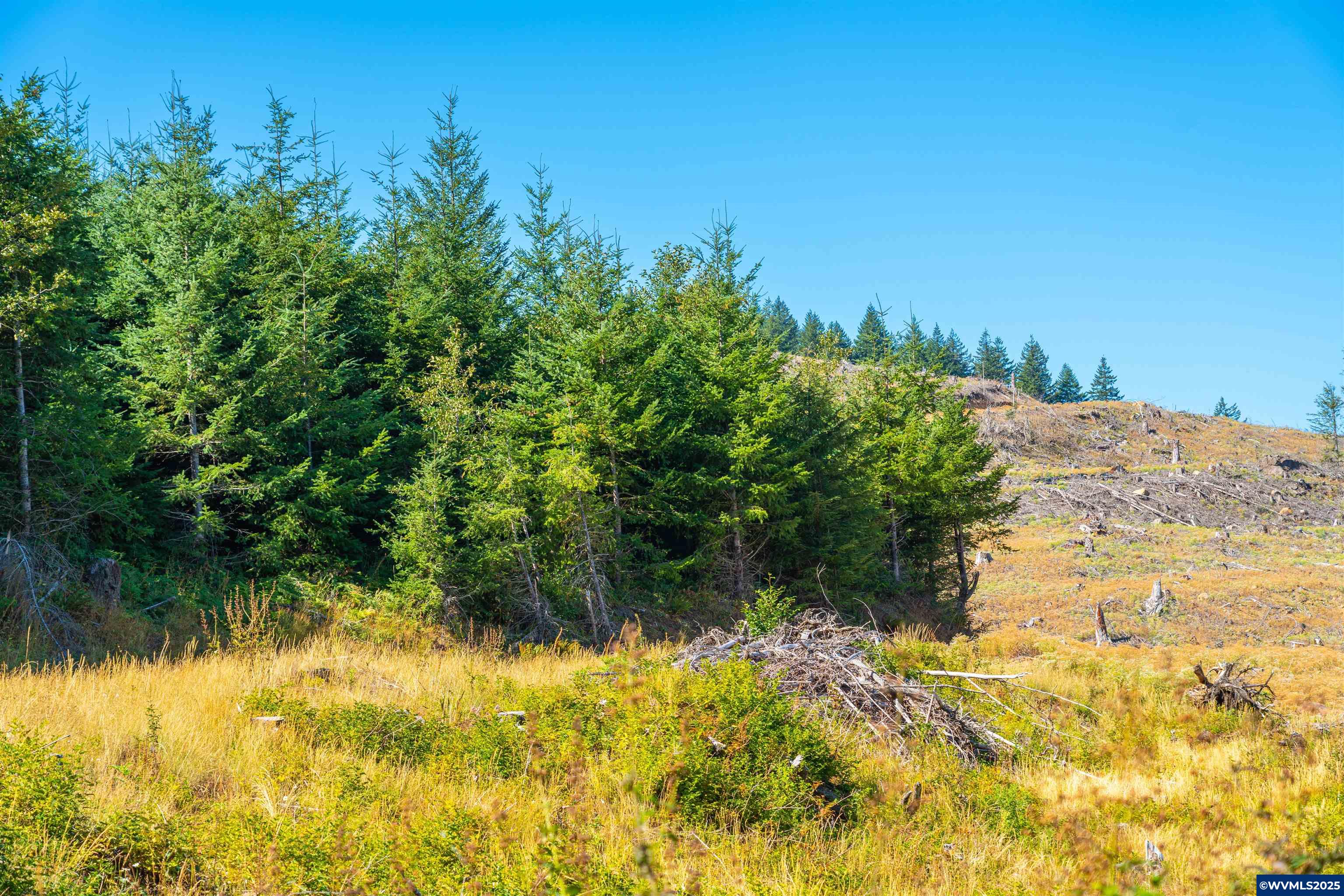 0 Bald Mountain Access Road Willamina, OR 97396 - Photo 24 of 30