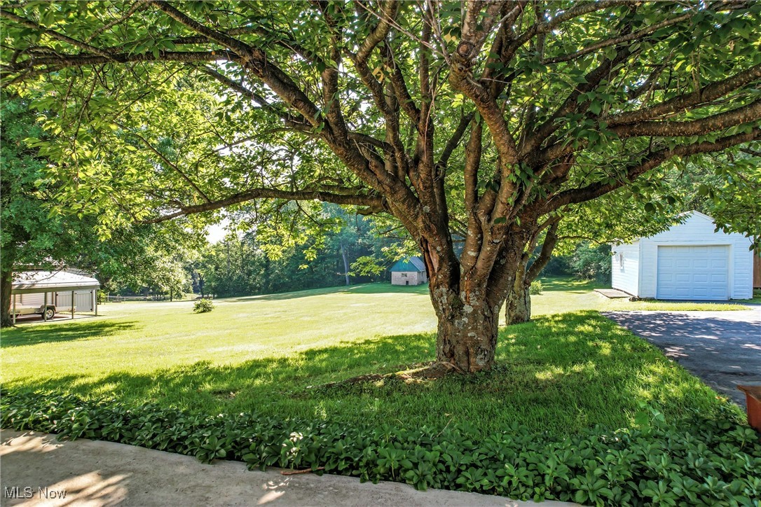 1808 Depot Road Salem, OH 44460 - Photo 9 of 50 Beautiful yard