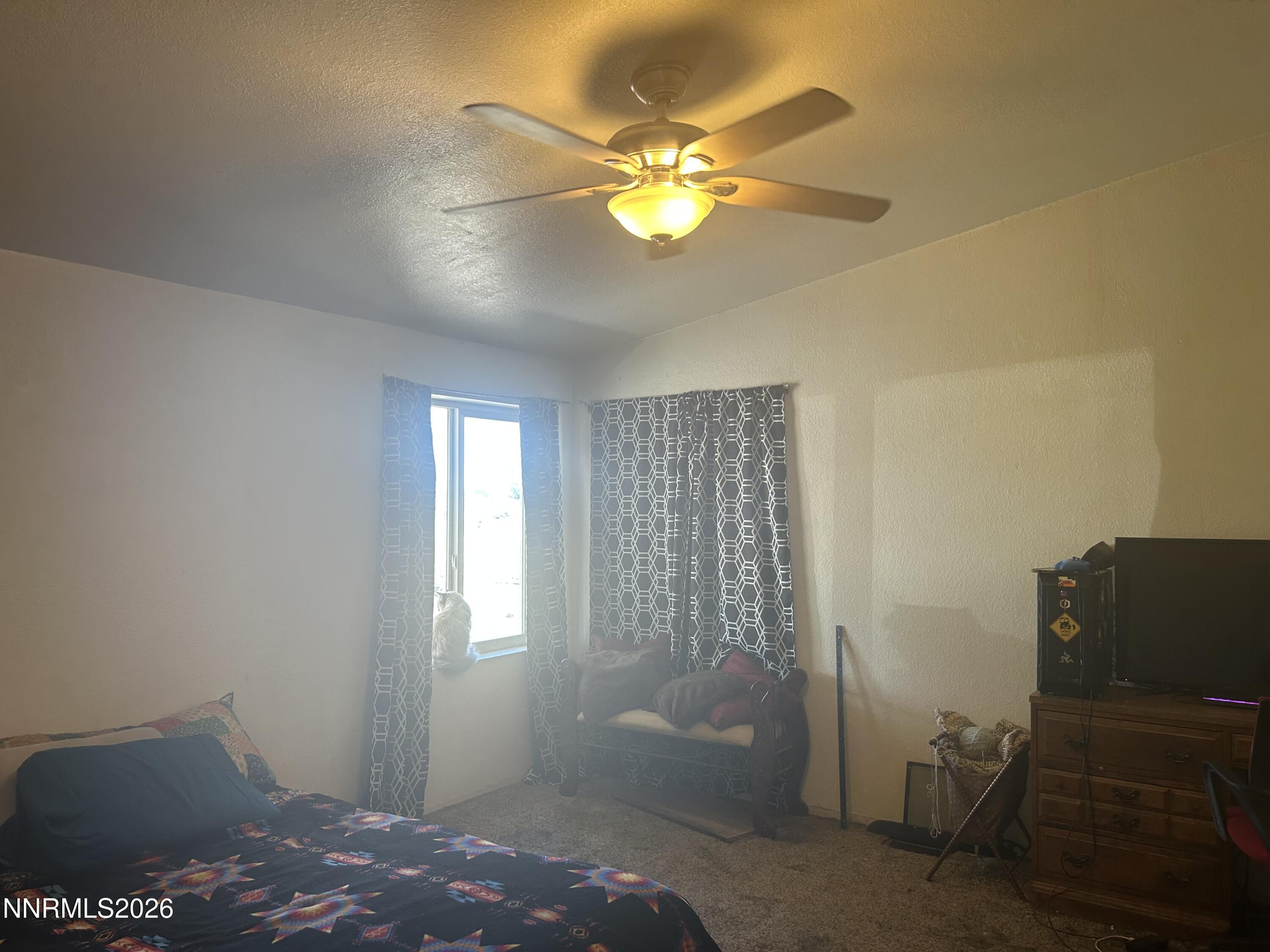 4251 Margoree Lane Fallon, NV 89406 - Photo 10 of 15 IMG_1164