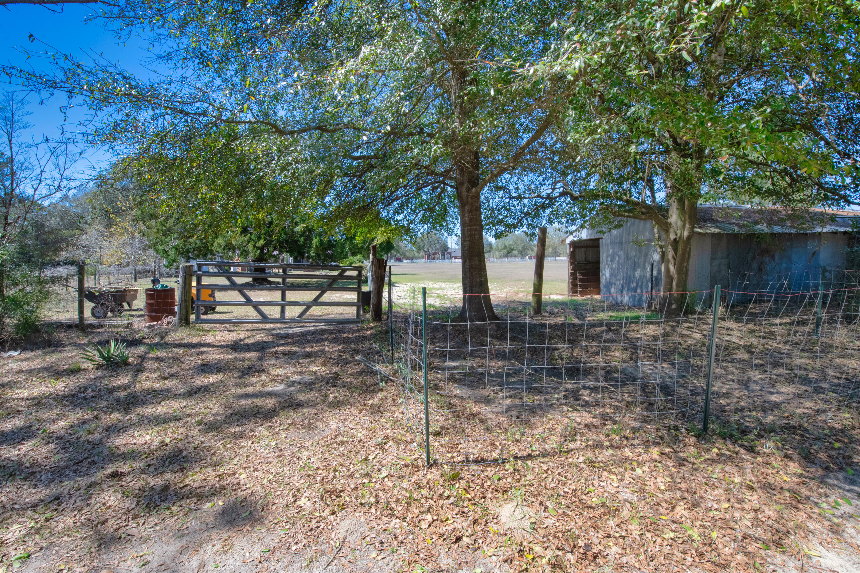 6025 Donald Guy Road Crestview, FL 32539 - Photo 8 of 28 a view of house with a backyard