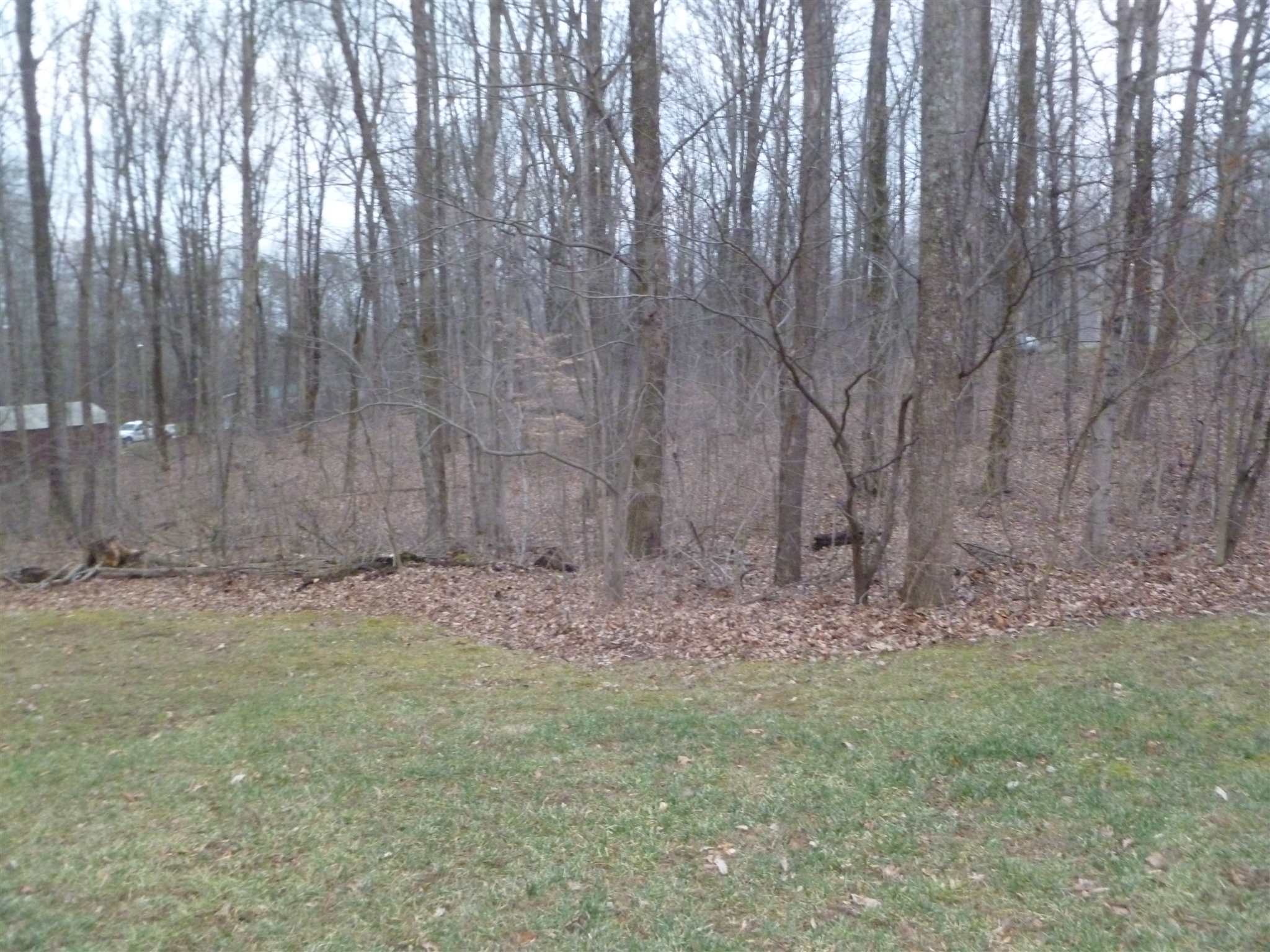 7005 South Lodge Road Bloomington, IN 47403 - Photo 5 of 28