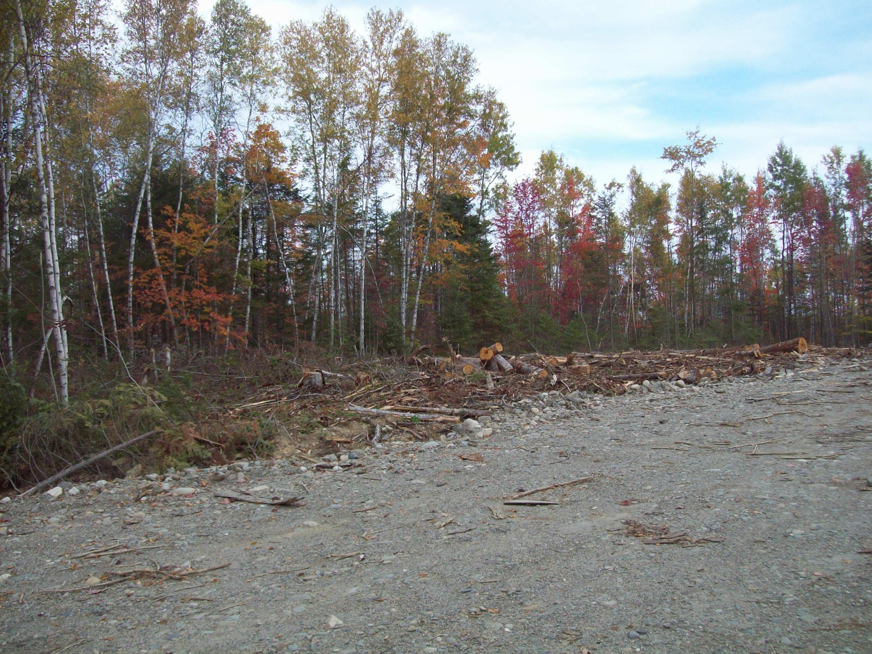 Tbd Tbd Road Carroll Plt, ME 04487 - Photo 6 of 15 100_2388