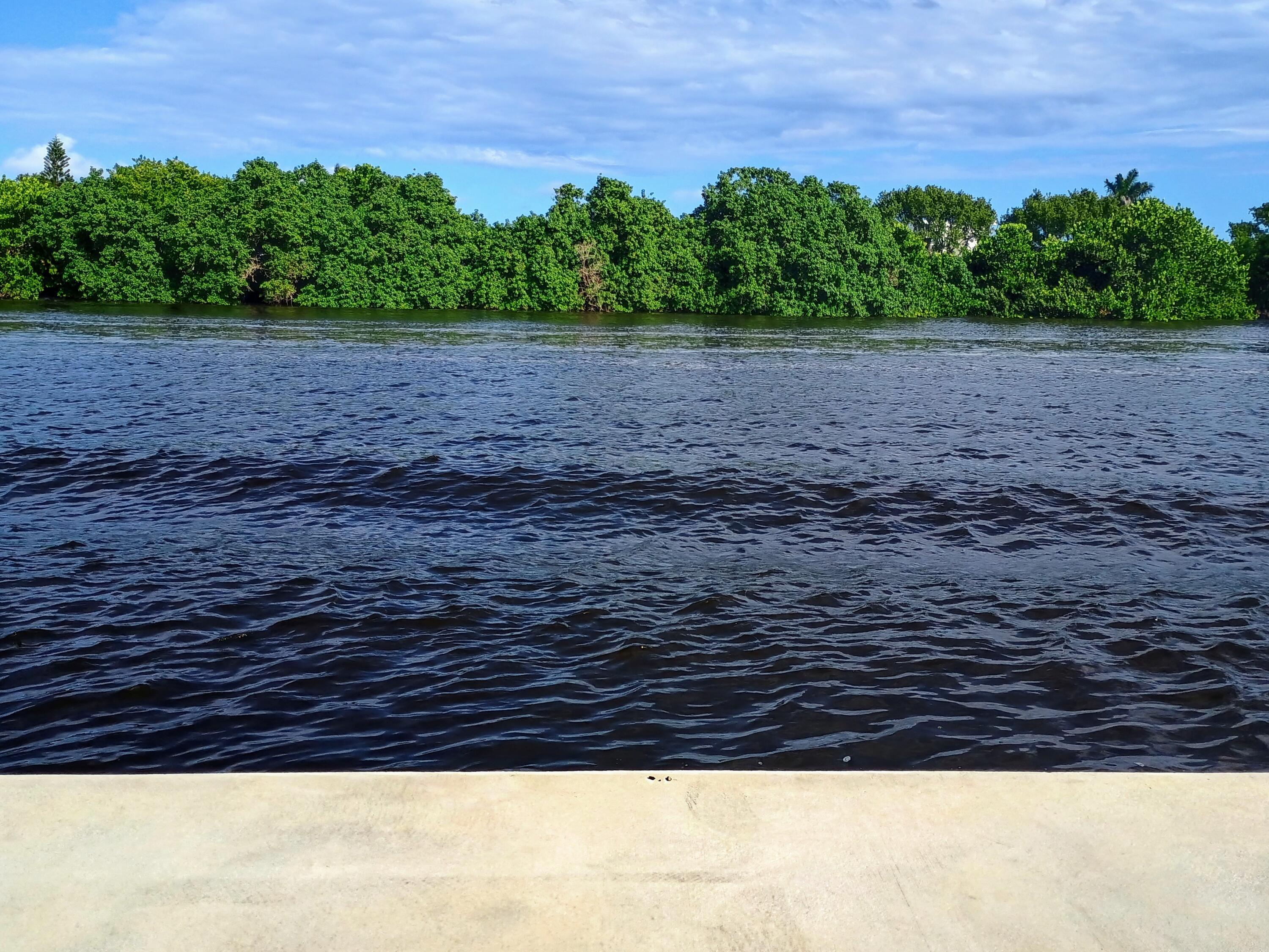 3 Colonial Club Drive, Unit 100 Boynton Beach, FL 33435 - Photo 19 of 26 a view of outdoor space and yard