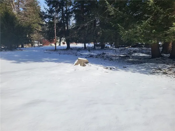 a view of a yard with a tree