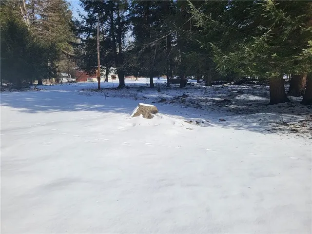 a view of a yard with a tree