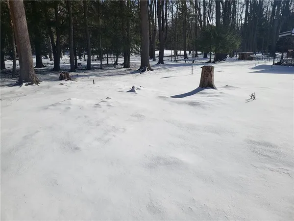 a view of outdoor space with swings and slides