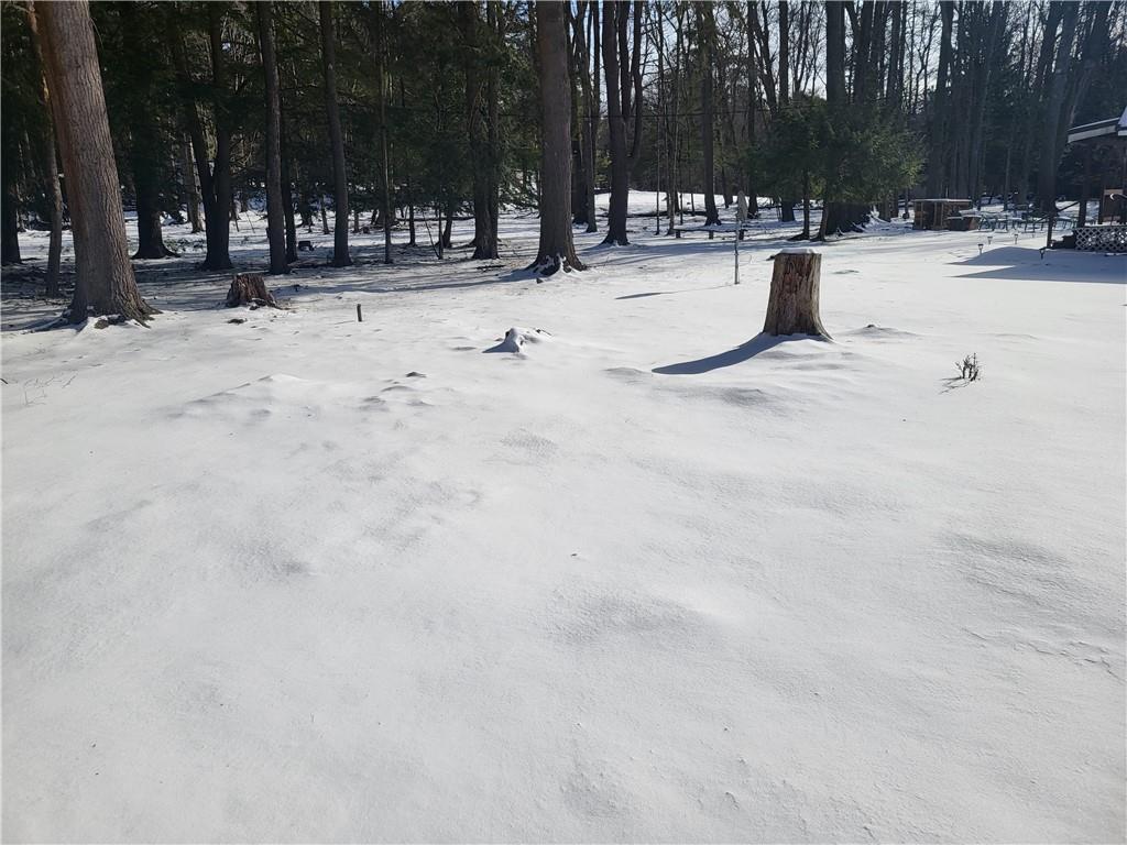 225 Buck Run Road Marienville, PA 16239 - Photo 27 of 27