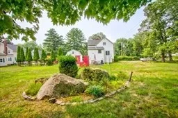 a view of a garden with plants and large trees
