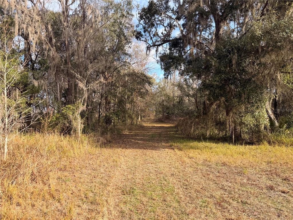 765 Sloans Ridge Road Groveland, FL 34736 - Photo 56 of 62