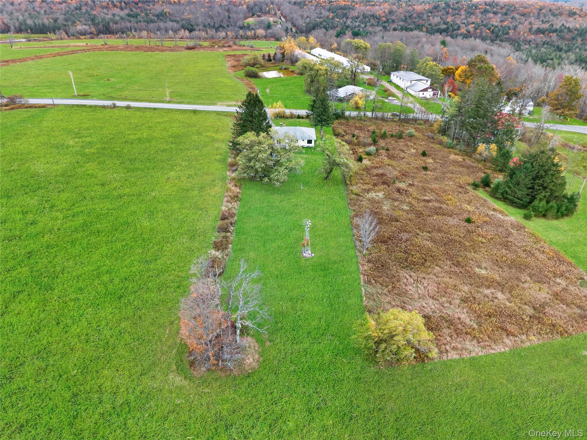 6049 State Rte 55 Liberty, NY 12754 - Photo 40 of 50 a garden view with a lake